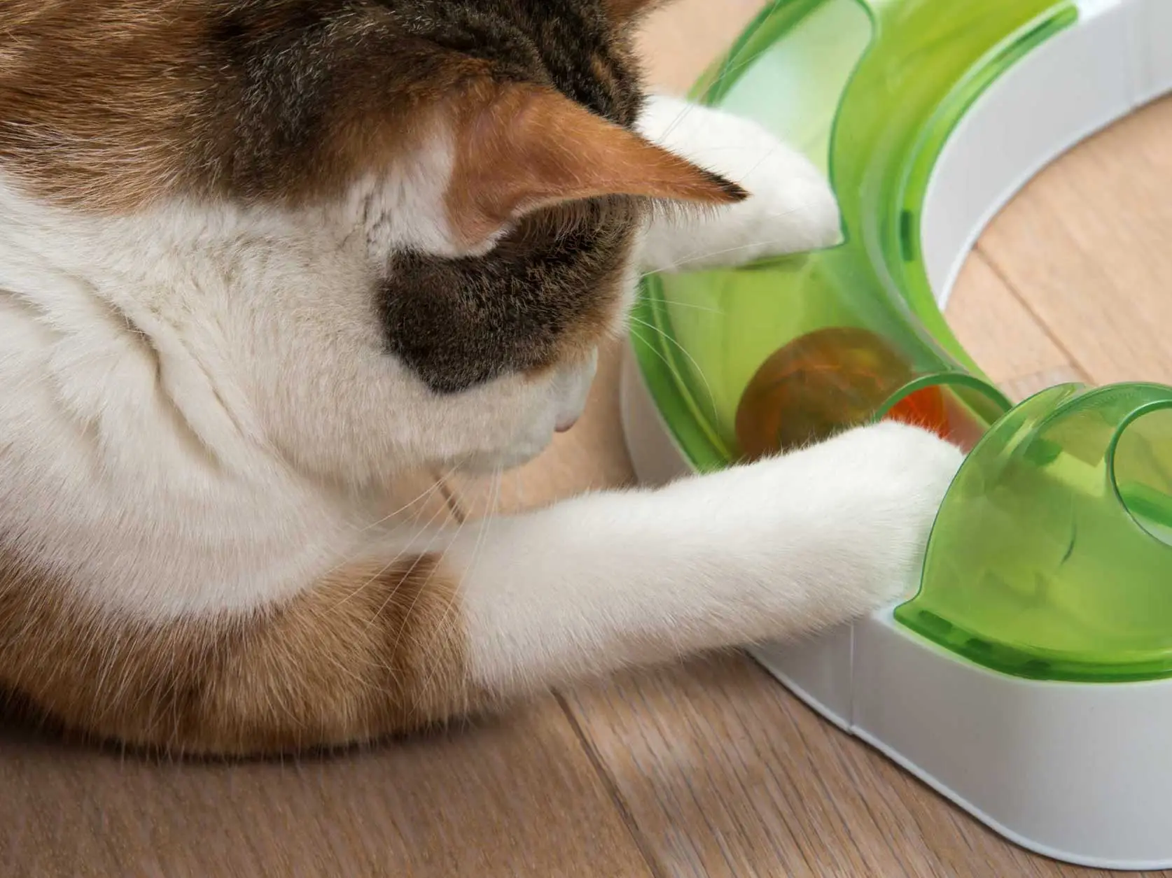 Catit Senses 2.0 Play Circuit